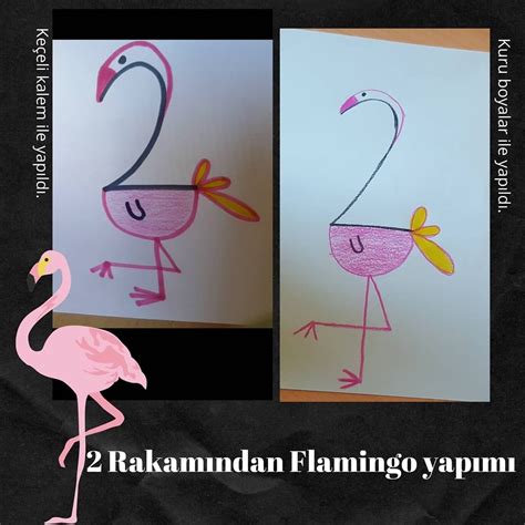 Flamingo öğretmen